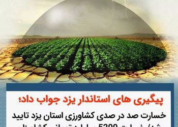 خسارت کشاورزان استان یزد