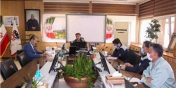 هم افزایی