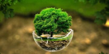 زندگی به سبک «پسماند صفر» در ابرکوه