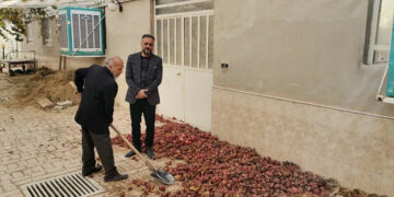 تبدیل ضایعات کشاورزی به خوراک دام در شهرستان میبد